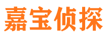 诸城市侦探公司